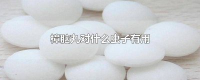 ​樟脑丸对哪些虫有作用 樟脑丸对所有的虫都有用吗