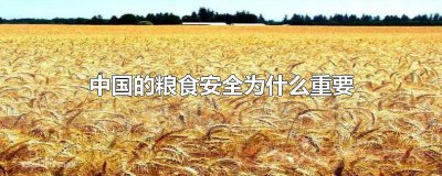 ​中国的粮食安全为什么重要 为什么中国粮食的安全很重要