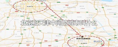 北京和天津中间的城市叫什么