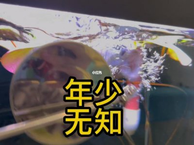 年少无知是什么意思(年少无知的含义)